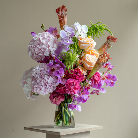 FLORIST'S PICKS