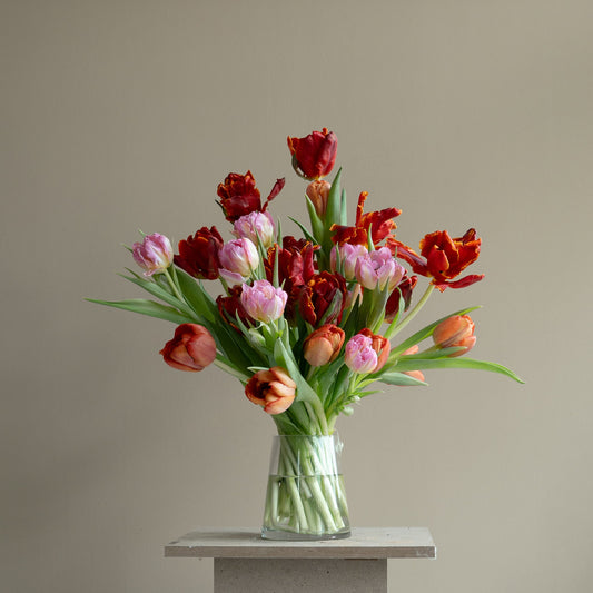 TULIP MEDLEY
