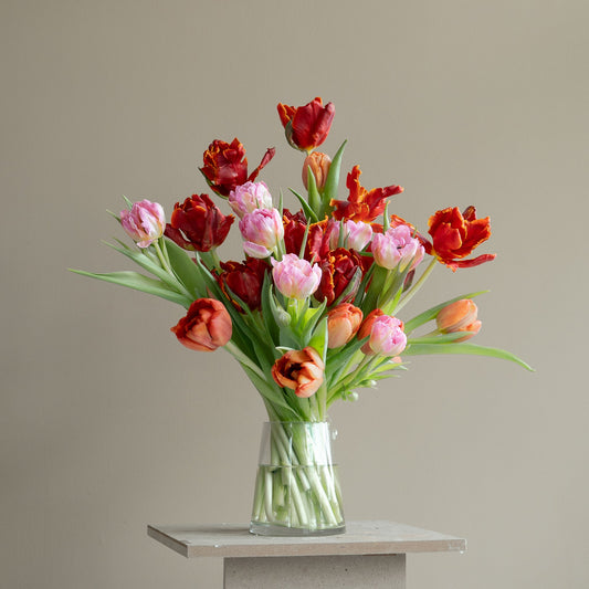 TULIP MEDLEY